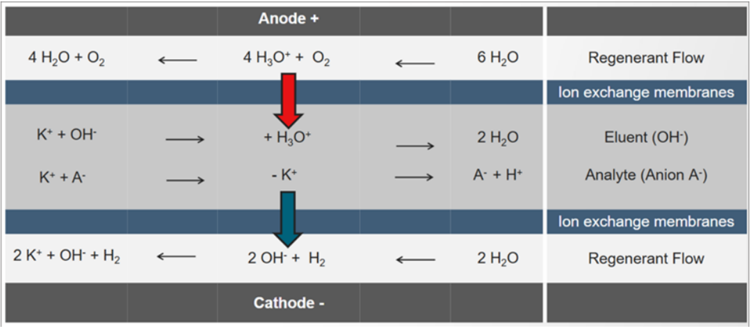 1771983857193934.png 640.png