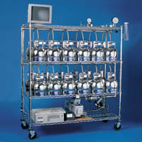 lorem ipsum dolor sit