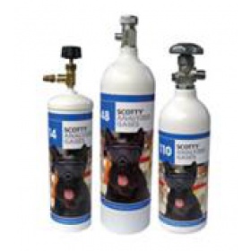 lorem ipsum dolor sit