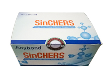 lorem ipsum dolor sit