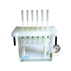 lorem ipsum dolor sit