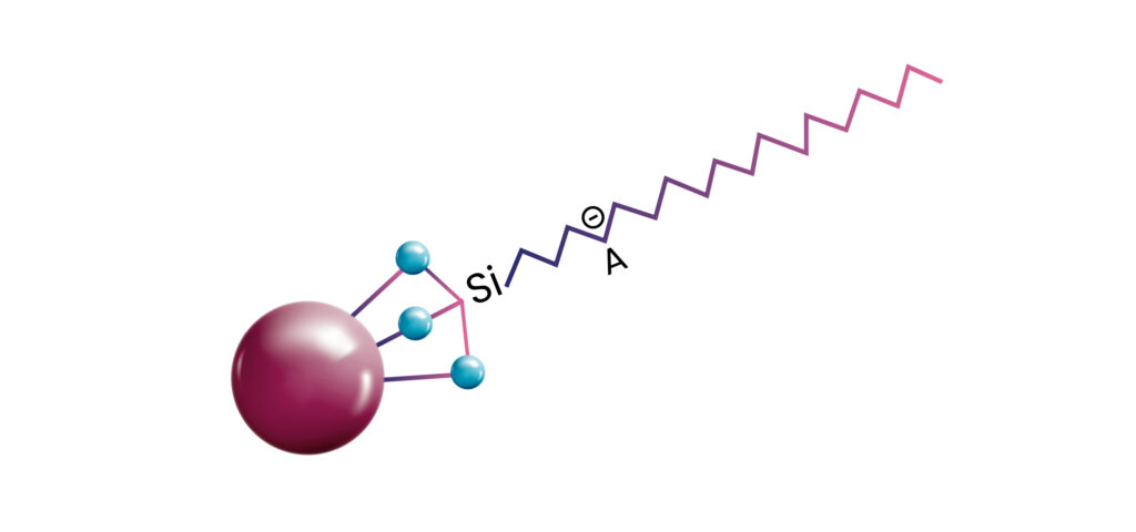 lorem ipsum dolor sit