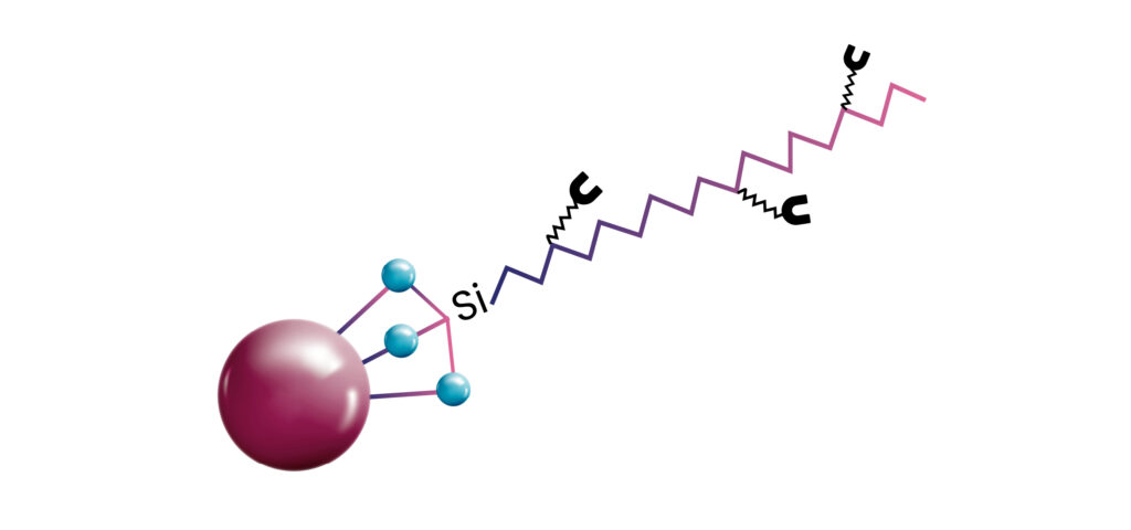 lorem ipsum dolor sit